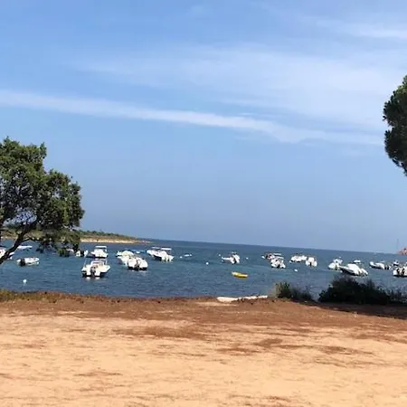 Bord De Avec Piscine 200 Metres * Zonza