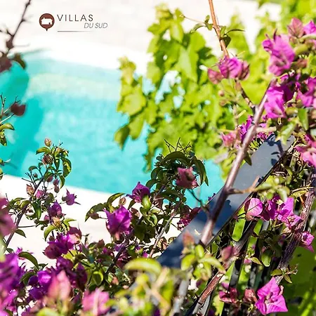 Bord De Avec Piscine 200 Metres Villa Zonza