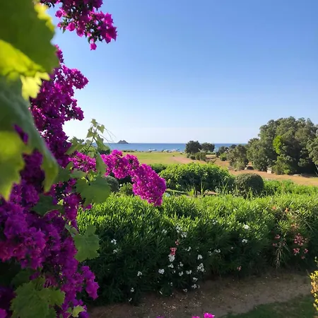 Bord De Avec Piscine 200 Metres Villa *