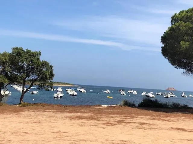 Bord De Avec Piscine 200 Metres * Zonza