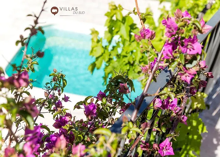 Bord De Avec Piscine 200 Metres Villa Zonza