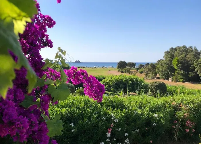 Bord De Avec Piscine 200 Metres Villa *